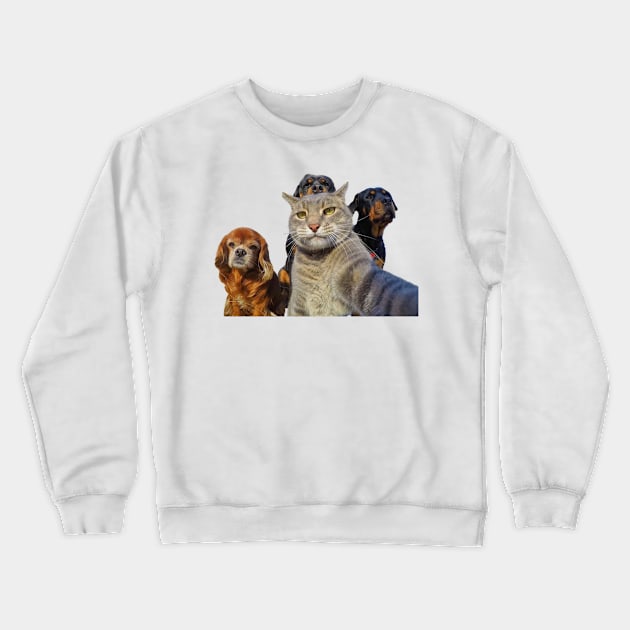 Dogs and cat take a selfie Crewneck Sweatshirt by AbstractWorld